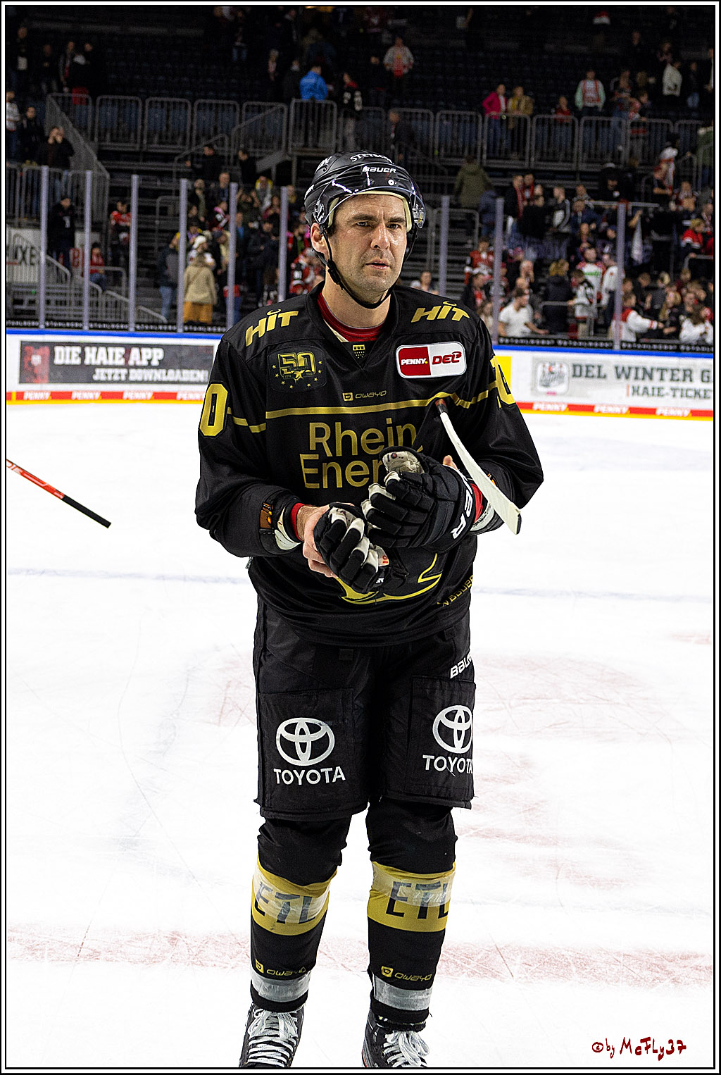 PENNY DEL;  Kölner Haie - ERC Ingolstadt; Köln, 25.11.2022